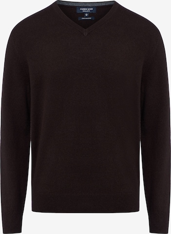 Pull-over Andrew James en marron : devant