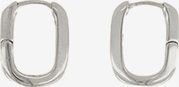 My Jewellery Earrings in Silver: front