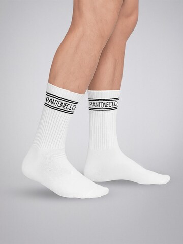 Calzino 'Pantoneclo Men’s Socks' di PANTONECLO in bianco: frontale