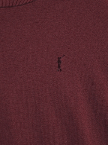 Polo Club Pullover in Rot