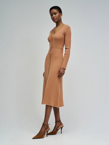 Salsa Jeans Jurk in Bruin