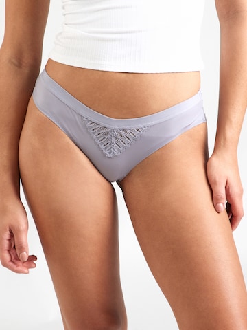 TRIUMPH - Braga 'Aura Spotlight' en gris: frente