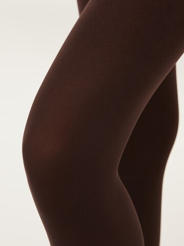 CALZEDONIA Tights in Brown