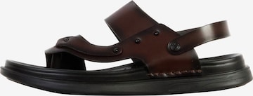 Sandales Elong en marron : devant
