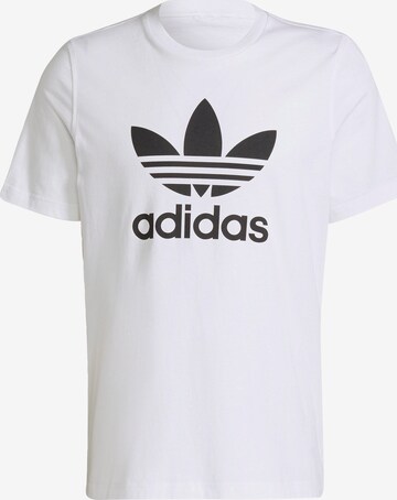 Maglietta 'Adicolor Classics Trefoil' di ADIDAS ORIGINALS in bianco: frontale