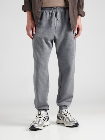 Effilé Pantalon 'SIMPLE DOME' THE NORTH FACE en gris : devant