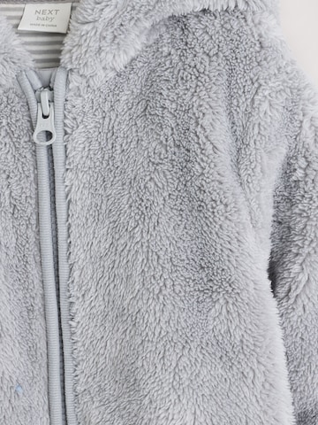 Next - Mono en gris