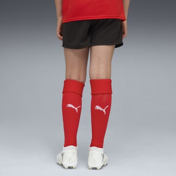 PUMA Regular Sports trousers 'Österreich 2026 ' in Black