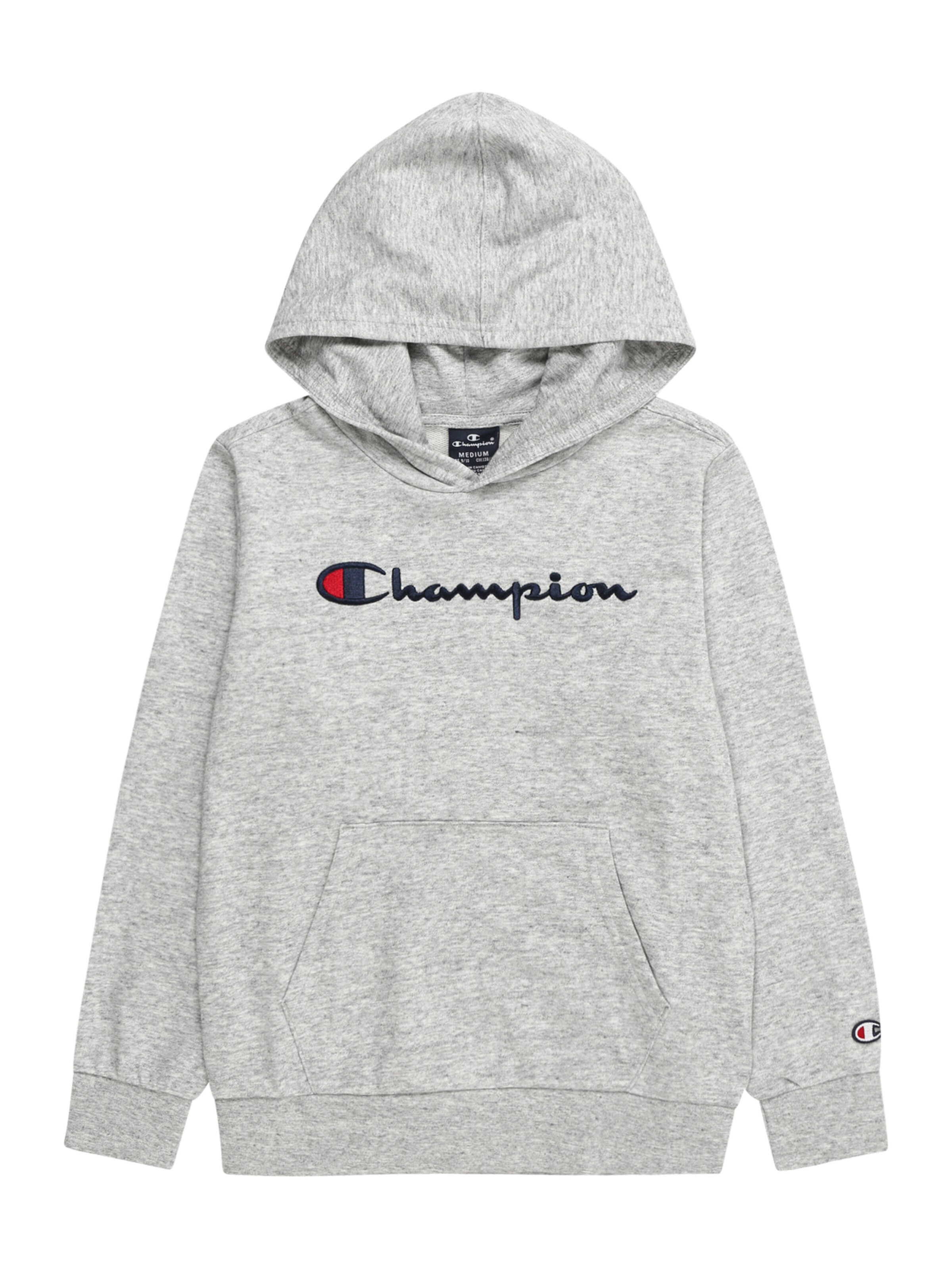 Champion Authentic Athletics Wear College Pullover Hoodie, Men's Size M cotton gray type Vintage Second Hand
