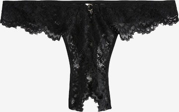 juoda Next Siaurikės: priekis