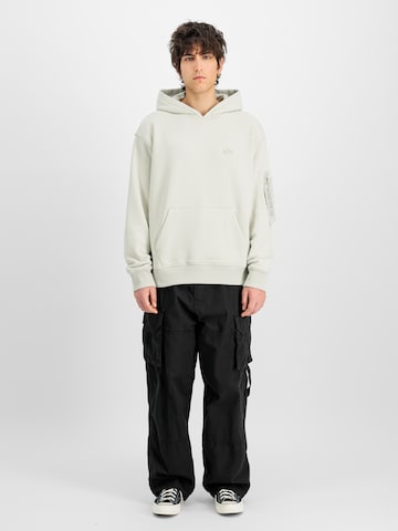 ALPHA INDUSTRIES Sweatshirt 'DTM ML' in Grau: Vorderseite