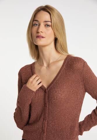 usha BLACK LABEL Knit Cardigan in Brown