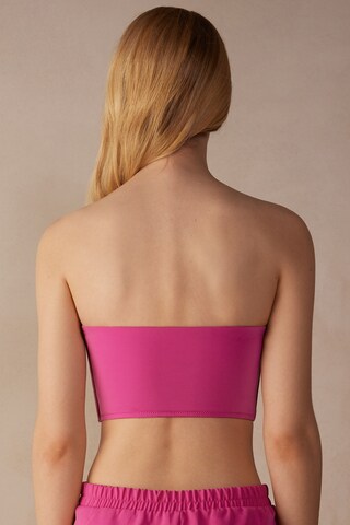 INTIMISSIMI Bandeau BH in Pink