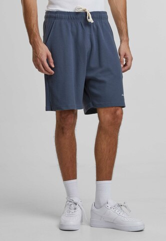 Another Cotton Lab Regular Hose in Blau: Vorderseite