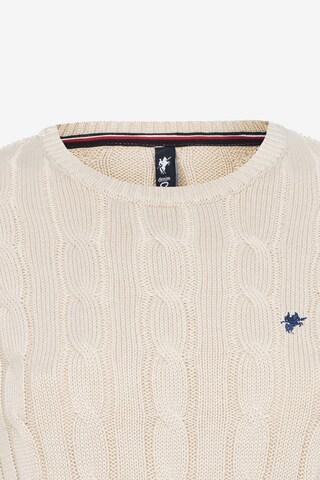 DENIM CULTURE Sweater 'LUDOVICA' in Beige