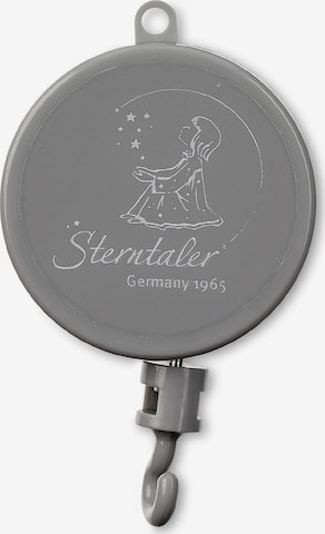 STERNTALER Stroller Accessories in Grey: front