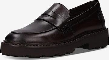 SALAMANDER Slip-ons in Brown: front