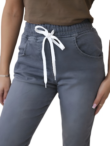 Lumera Broek in Grijs