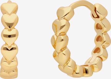 Lucardi Earrings in Gold: front