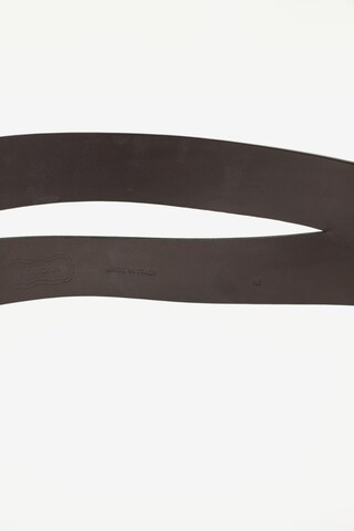 Agnona Belt in One size in Brown