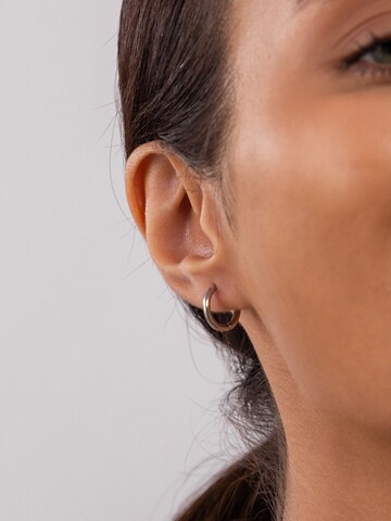 PURELEI Earrings 'Spirit' in Silver