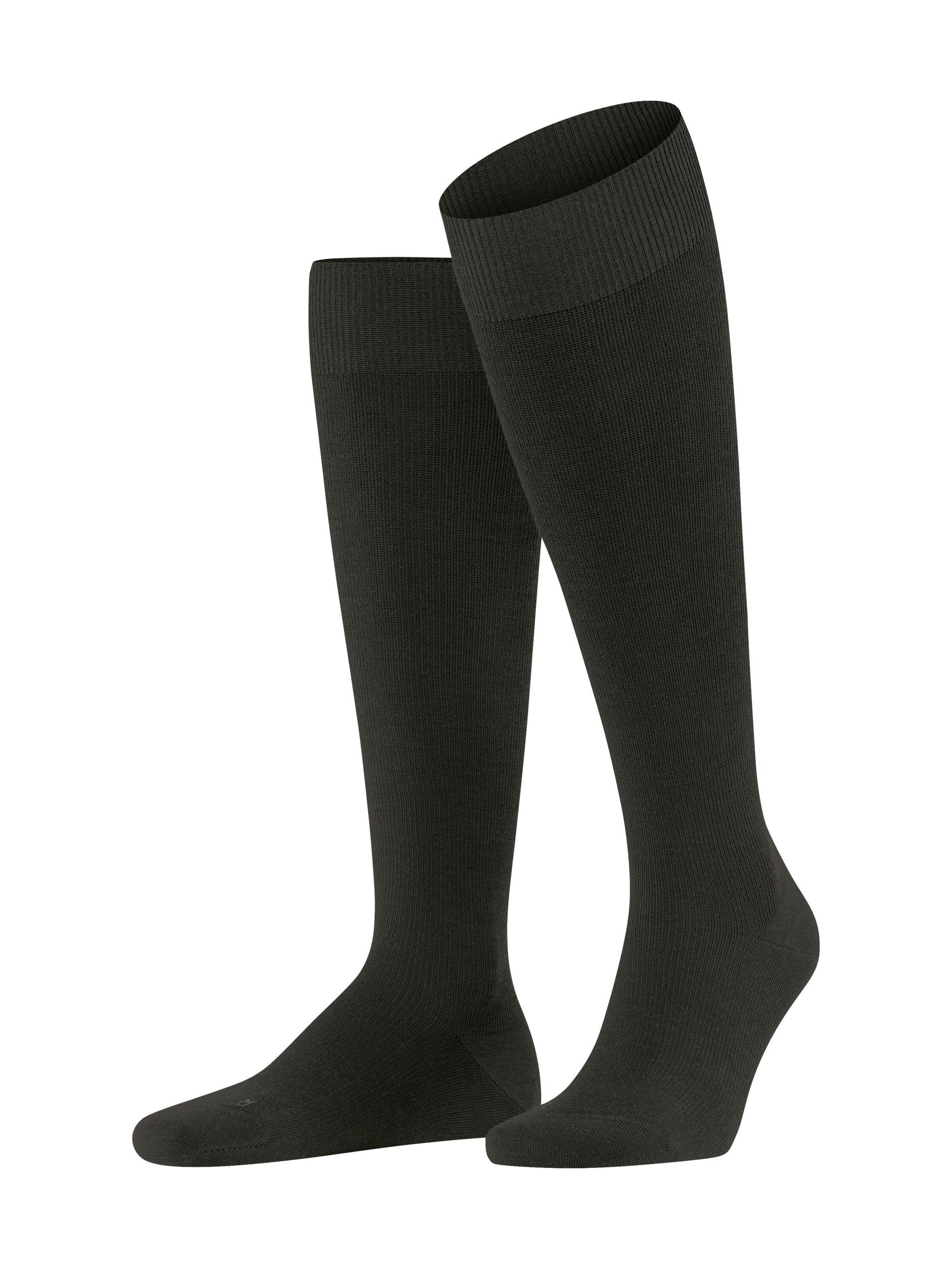 FALKE Kniestrümpfe 'Energizing Wool'‌‌‌‌‌‌‌‌‌ in Braun: Vorderseite