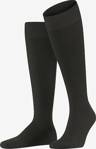 FALKE Kniestrümpfe 'Energizing Wool' in Braun: Vorderseite