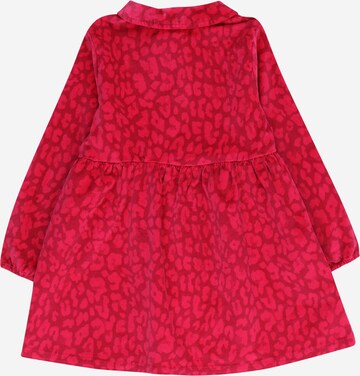 Robe UNITED COLORS OF BENETTON en rose