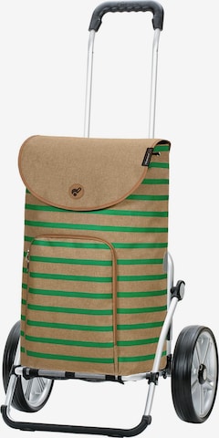 Trolley di Andersen Shopper in verde: frontale