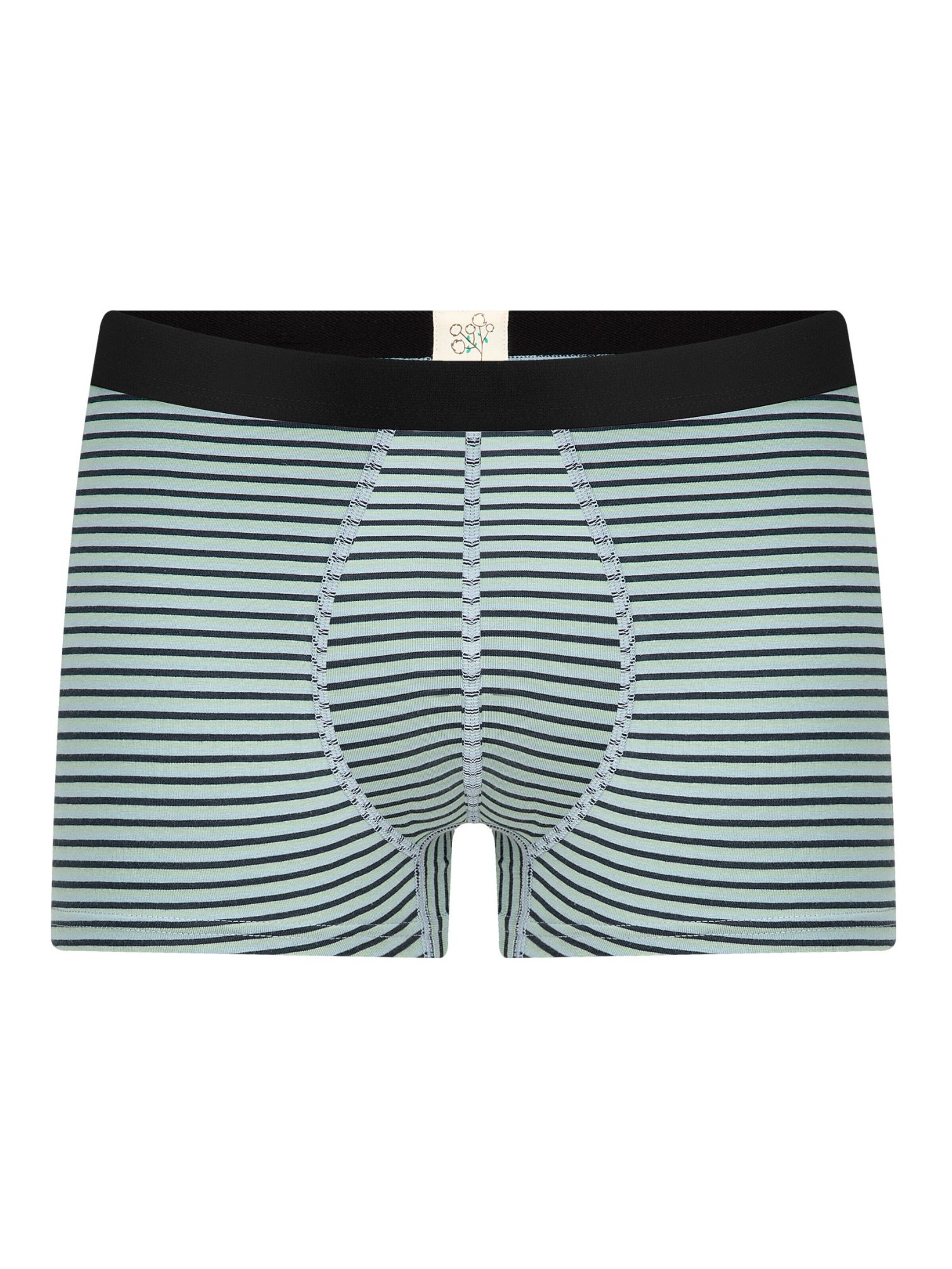 Albero Natur Boxershorts 'Herren Trunkshorts aus Bio-Baumwolle'‌‌ in Blau: Vorderseite
