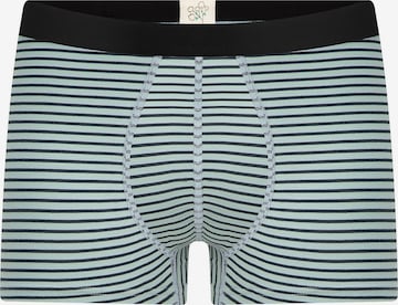 Albero Natur Boxershorts 'Herren Trunkshorts aus Bio-Baumwolle' in Blau: Vorderseite