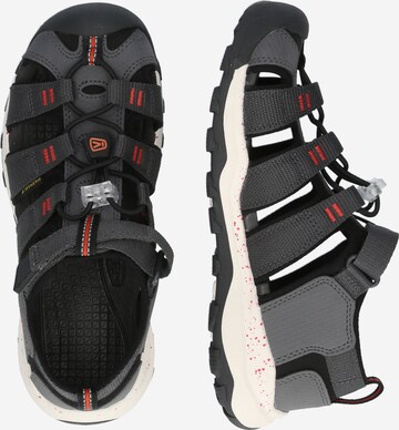 KEEN Sandalen 'Newport Neo H2' in Grijs