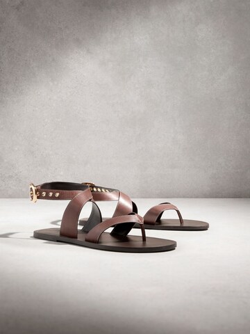 Next T-bar sandals in Brown