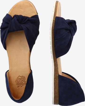 Apple of Eden Sandals in Blue