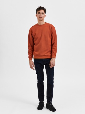 SELECTED HOMME Sweatshirt in Brown