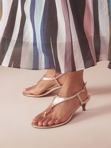 B by Ted Baker Sandaal in Goud