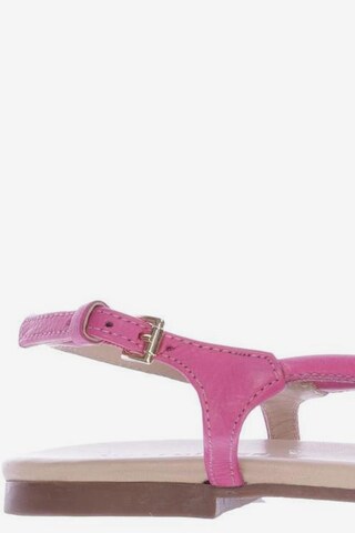 HALLHUBER Sandals & High-Heeled Sandals in 37 in Pink