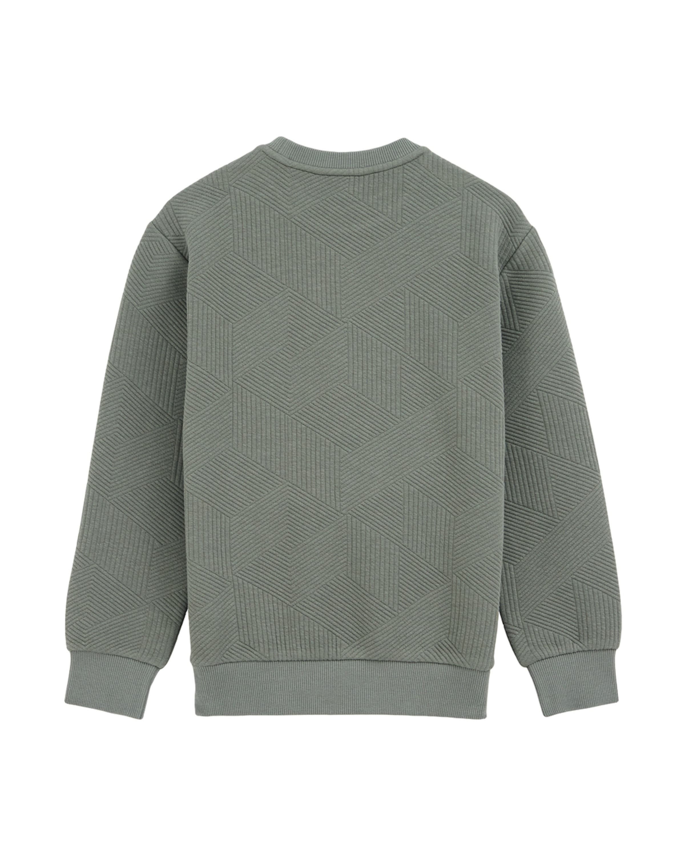 WE Fashion Свитшот в Зеленый