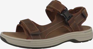 Sandalo 'Saltway Edge' di CLARKS in marrone: frontale