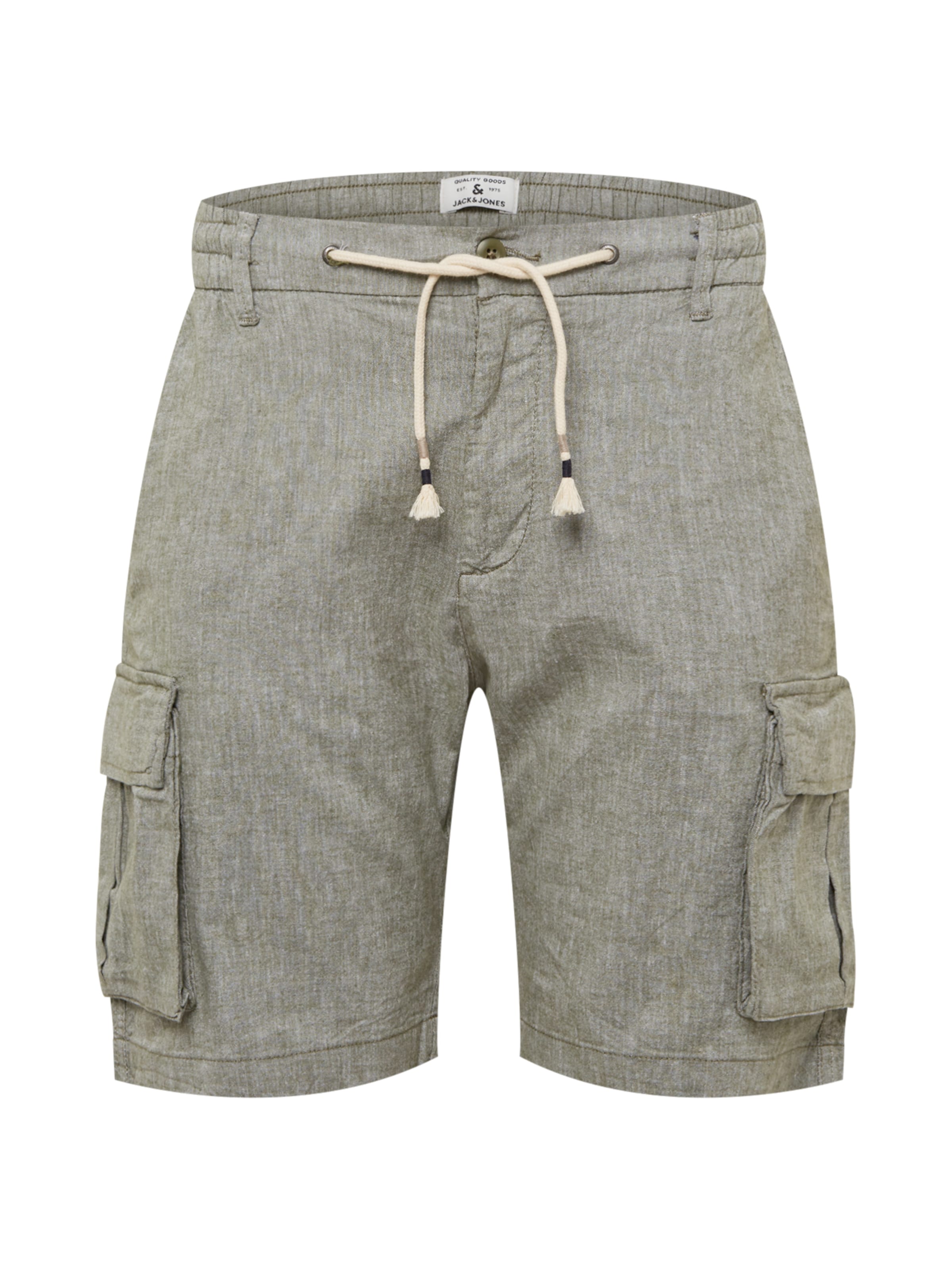 JACK & JONES Regular Shorts in Grün: Vorderseite