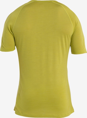 ICEBREAKER Functioneel shirt 'ZoneKnit' in Groen