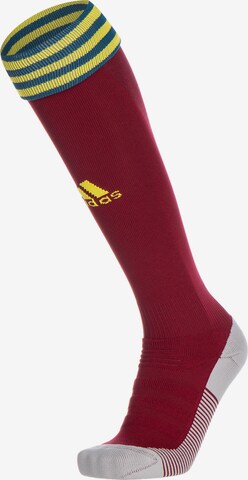 ADIDAS SPORTSWEAR Soccer Socks in Red: front