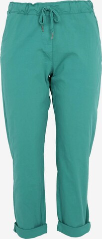 Paprika Chino Pants in Blue: front