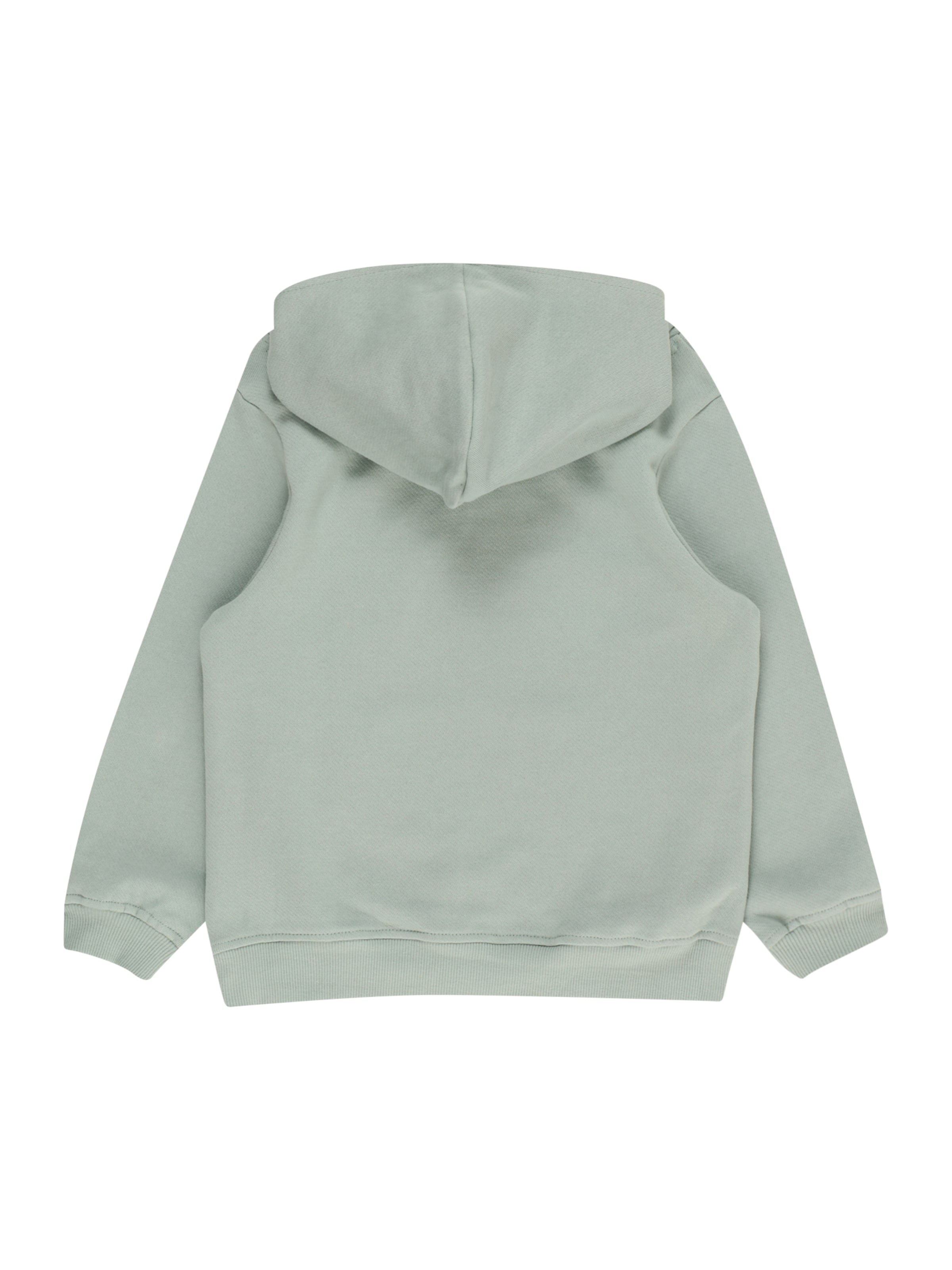 zaļš ABOUT YOU Sportisks džemperis 'Theodor'