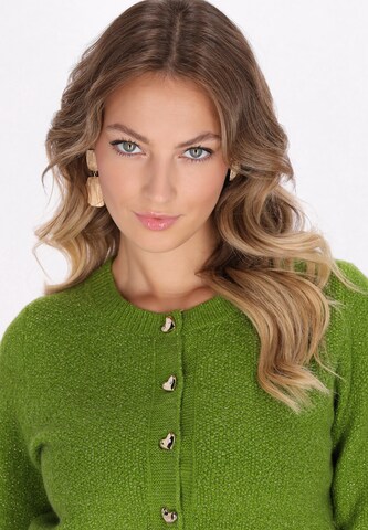 faina Gebreid vest in Groen