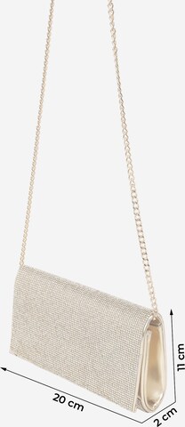 ALDO Clutch 'FAHARI' in Goud