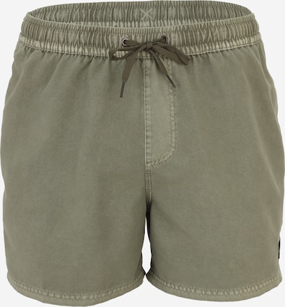 QUIKSILVER Uimashortsit 'Everyday' värissä khaki, Tuotenäkymä