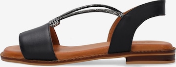 VENEZIA Sandals 'Venezia' in Black: front