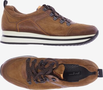 Paul Green Sneakers & Trainers in 39 in Brown: front