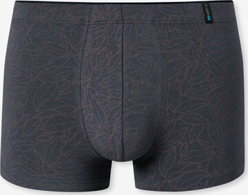 SCHIESSER Boxershorts ' Long Life Soft ' in Grijs: voorkant